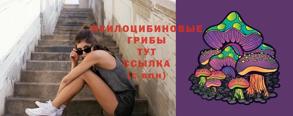 мяу мяу мука Абаза