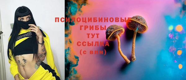 винт Алексин