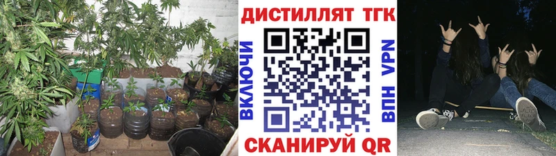 ТГК Wax  закладка  Узловая 