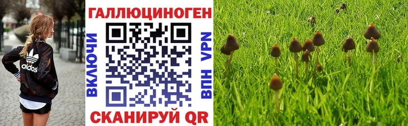 Галлюциногенные грибы Psilocybine cubensis  цена   Узловая 